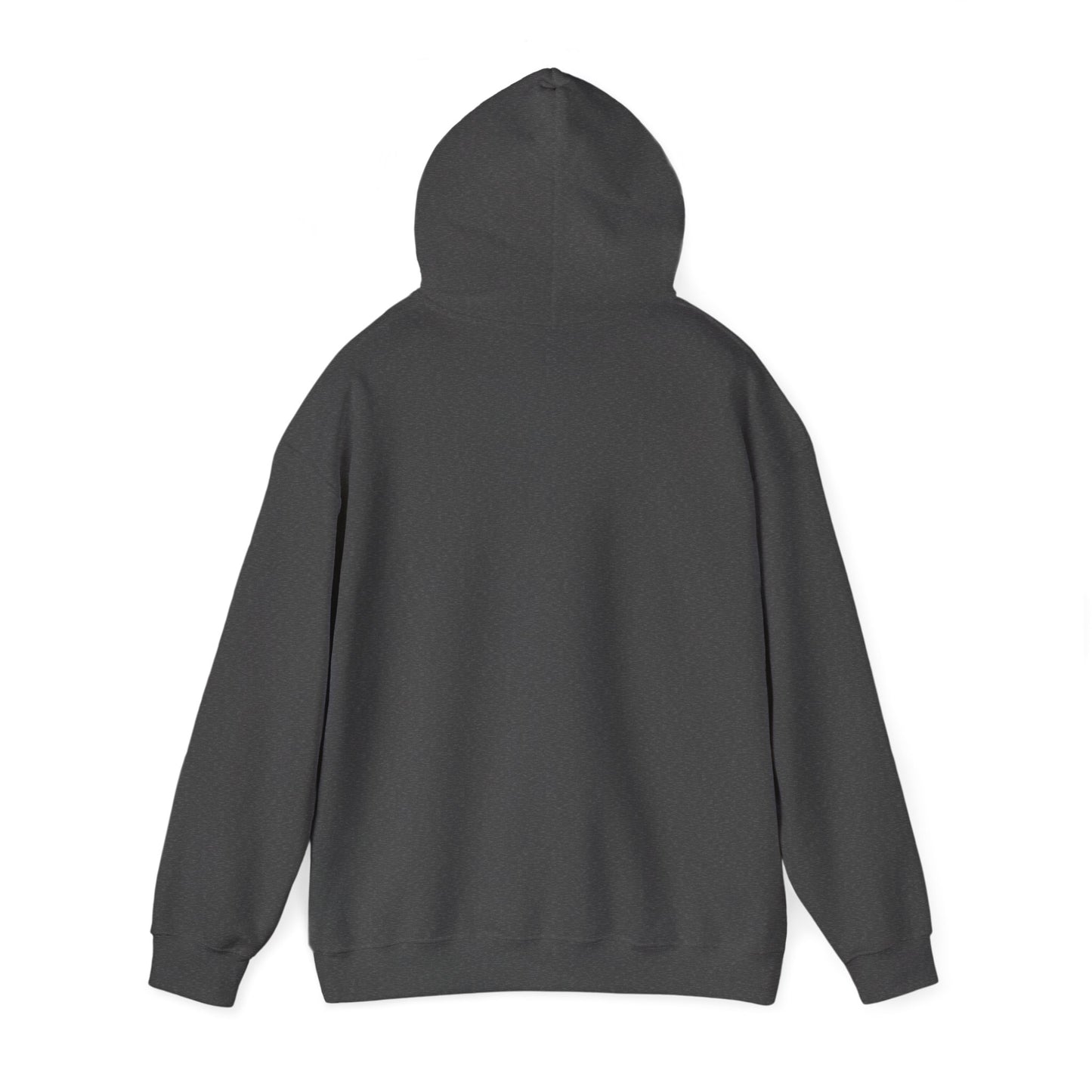 A Good Book Hoodie of Bookstore Visiting